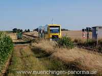 Getreide-Ernte Landwirtschaft Münchingen Bild14