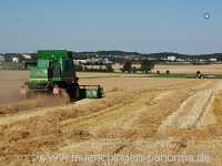 Getreide-Ernte Landwirtschaft Münchingen Bild15