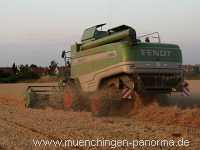 Getreide-Ernte Landwirtschaft Münchingen Bild18