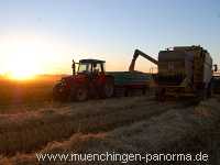 Getreide-Ernte Landwirtschaft Münchingen Bild27