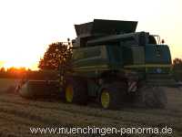 Getreide-Ernte Landwirtschaft Münchingen Bild29