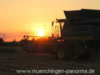 Getreide-Ernte Landwirtschaft Münchingen Bild30