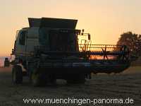 Getreide-Ernte Landwirtschaft Münchingen Bild31