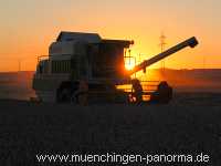 Getreide-Ernte Landwirtschaft Münchingen Bild34
