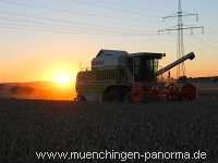 Getreide-Ernte Landwirtschaft Münchingen Bild36