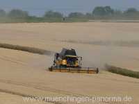 Getreide-Ernte Landwirtschaft Münchingen Bild41