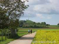 raps-bluete Landwirtschaft Münchingen Bild23