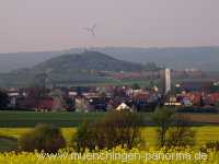 raps-bluete Landwirtschaft Münchingen Bild27