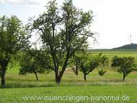 Grüne Spange Umgebung Münchingen Bild19
