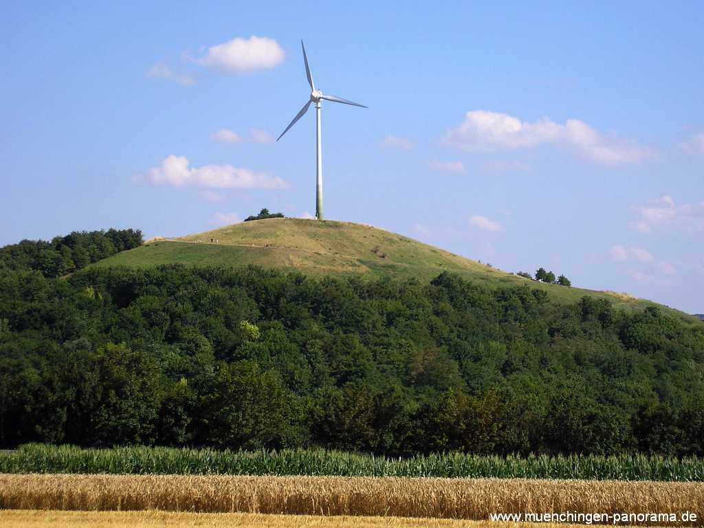 Grüner Heiner Umgebung Münchingen Bild03