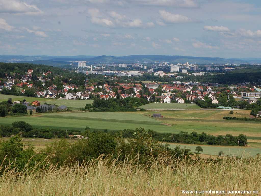 Grüner Heiner Umgebung Münchingen Bild18