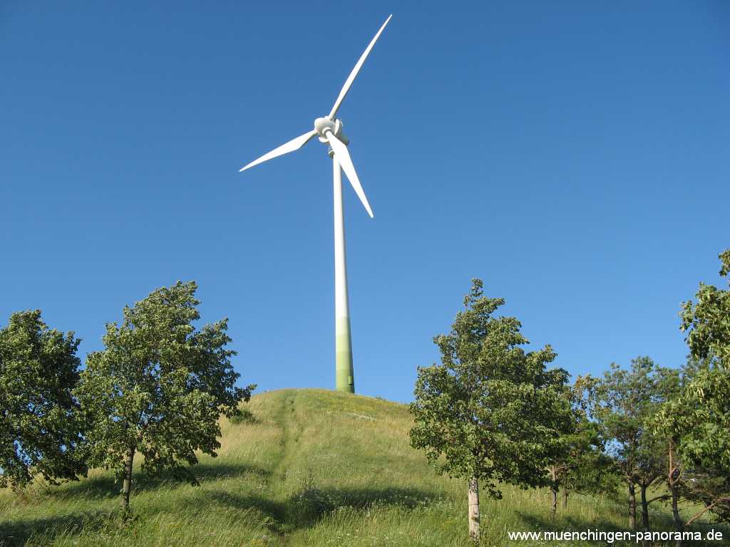 Grüner Heiner Umgebung Münchingen Bild28