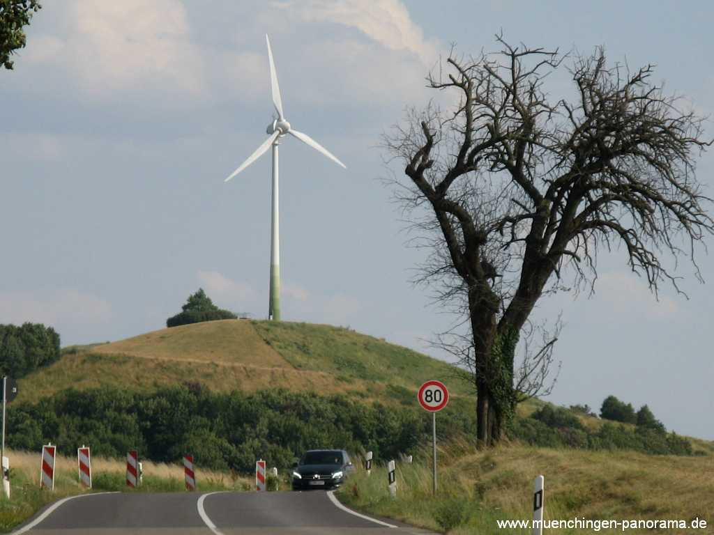 Grüner Heiner Umgebung Münchingen Bild46