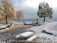 Grüner Heiner Umgebung Münchingen Bild21