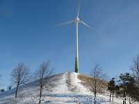 Grüner Heiner Umgebung Münchingen Bild37