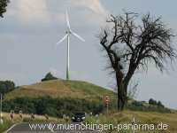 Grüner Heiner Umgebung Münchingen Bild46