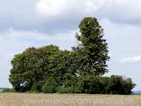 Kaiserstein Umgebung Münchingen Bild05