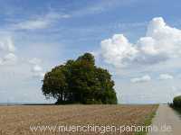 Kaiserstein Umgebung Münchingen Bild20