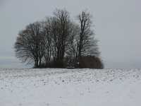 Kaiserstein Umgebung Münchingen Bild39