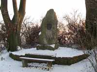 Kaiserstein Umgebung Münchingen Bild43