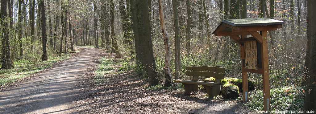 Bilder-Galerien: Seewald M&uuml;nchingen