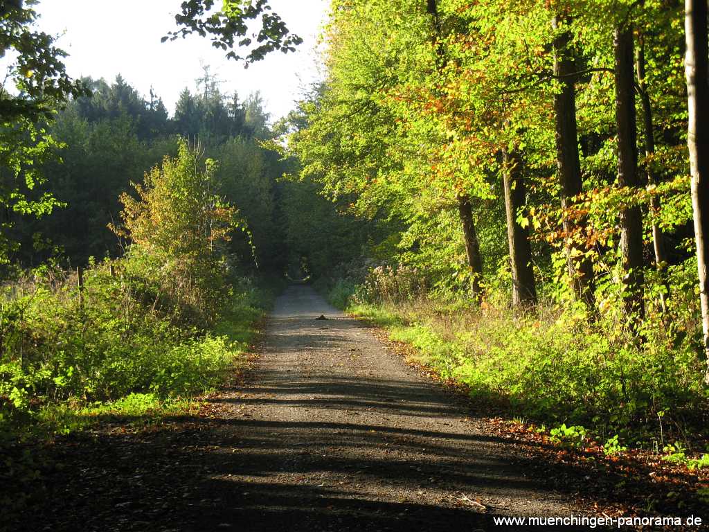 Seewald Umgebung Münchingen Bild21