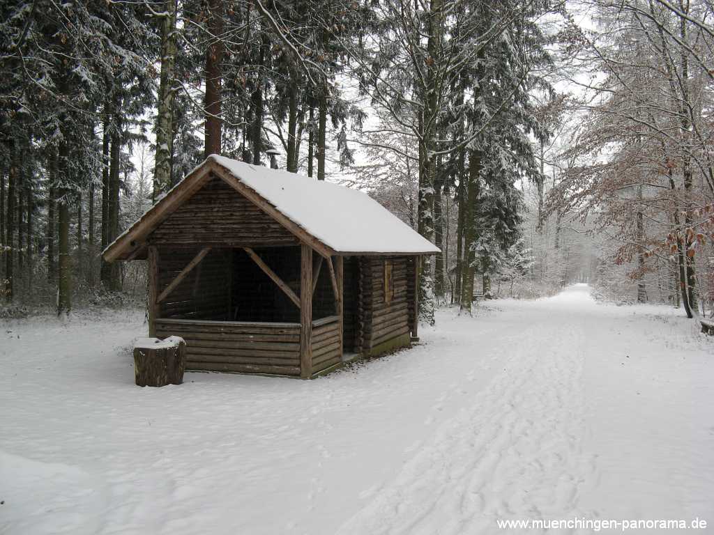 Seewald Umgebung Münchingen Bild34