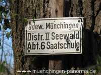 Seewald Umgebung Münchingen Bild08