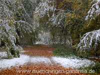 Seewald Umgebung Münchingen Bild29