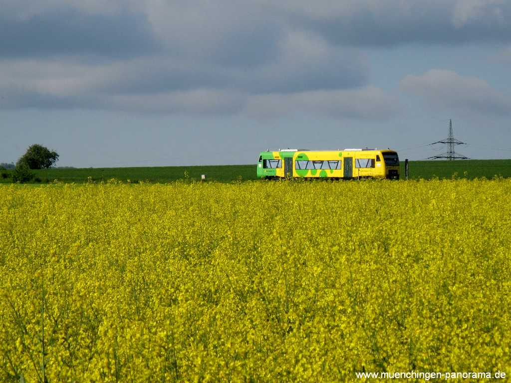 Strohgäu-Bahn Umgebung Münchingen Bild29