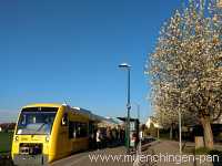 Strohgäu-Bahn Umgebung Münchingen Bild22